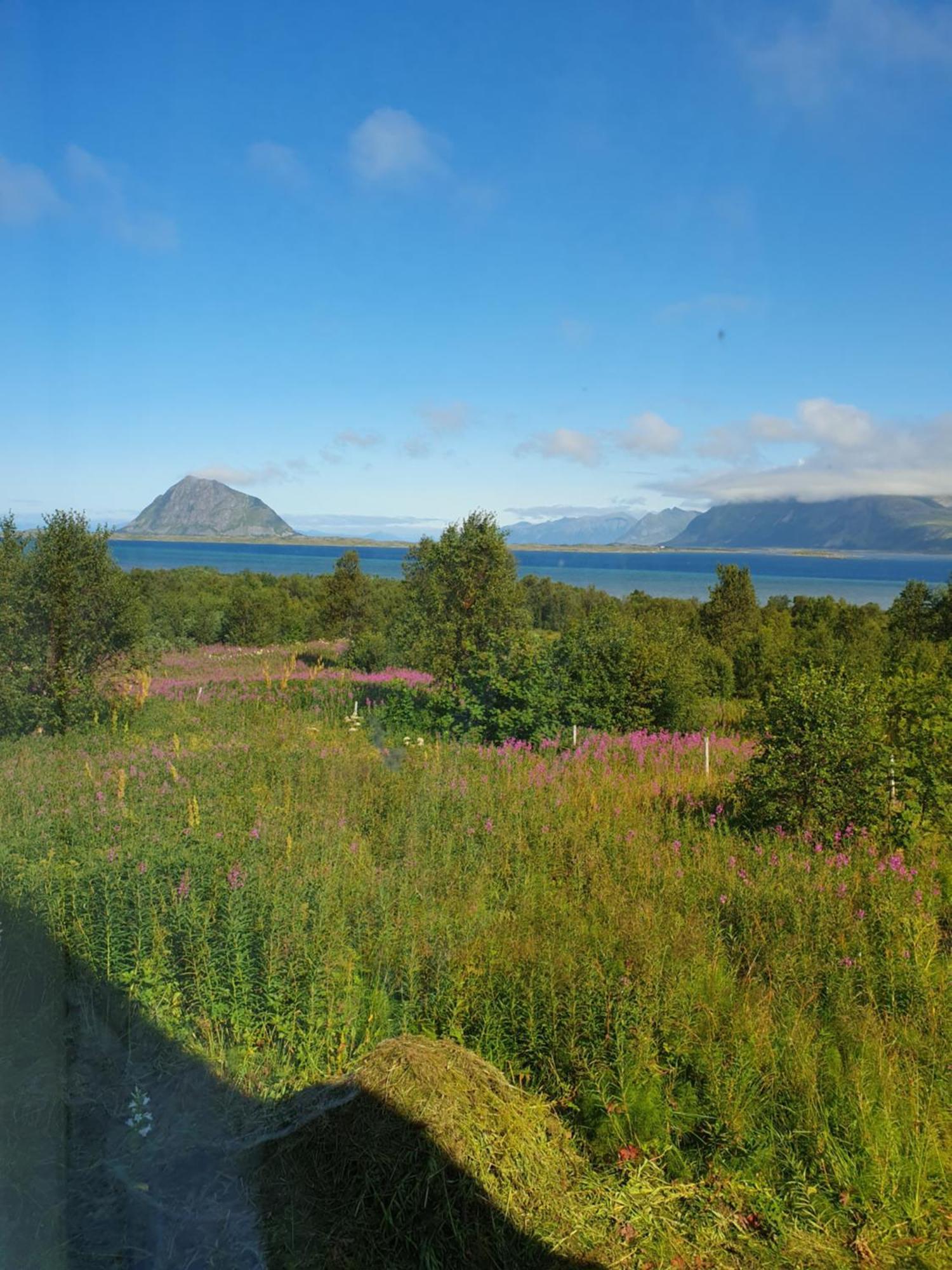 Med Utsikt Mot Hoven Holiday home Smedvik